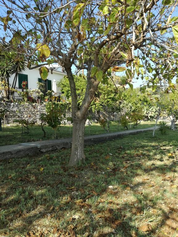 Villa Ninetta-Isabella Гаэта Экстерьер фото